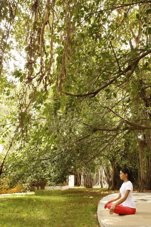 Heritage Madurai Exterior photo The canopy of a tropical rainforest
